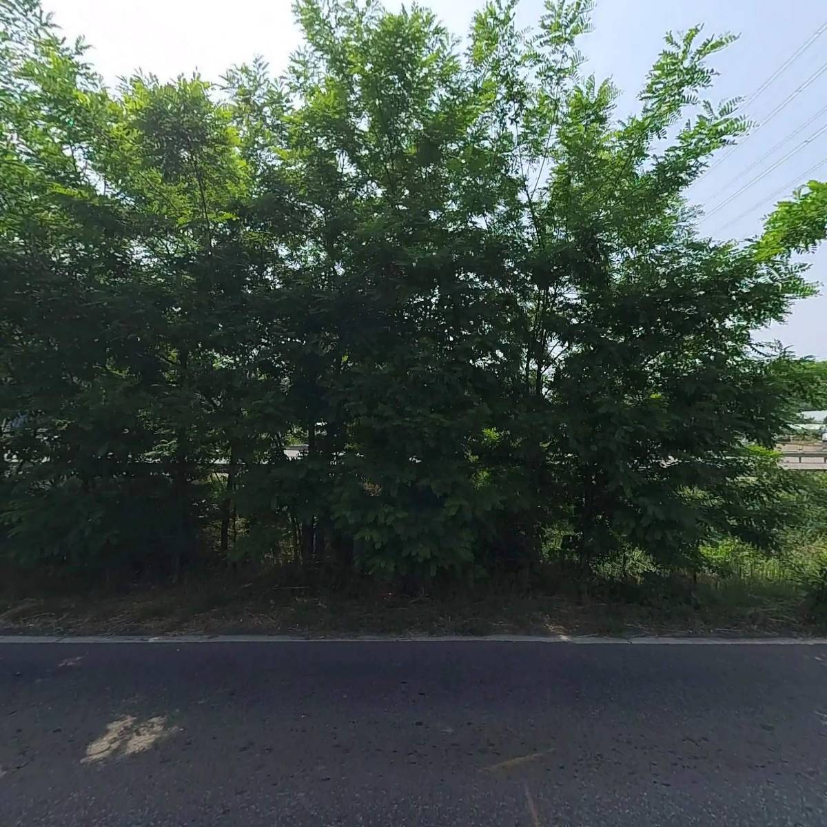 부길농원_3