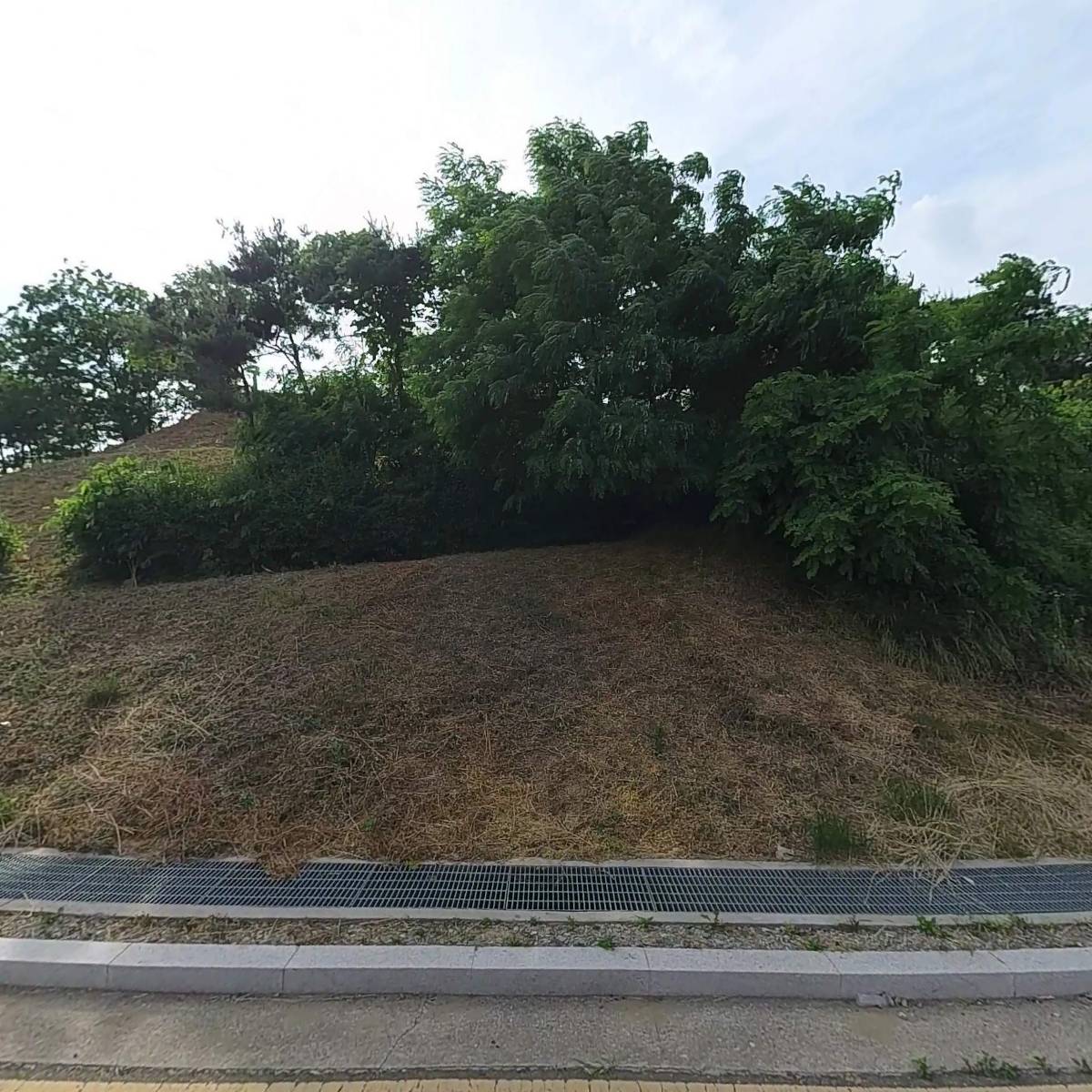 비전푸드뱅크