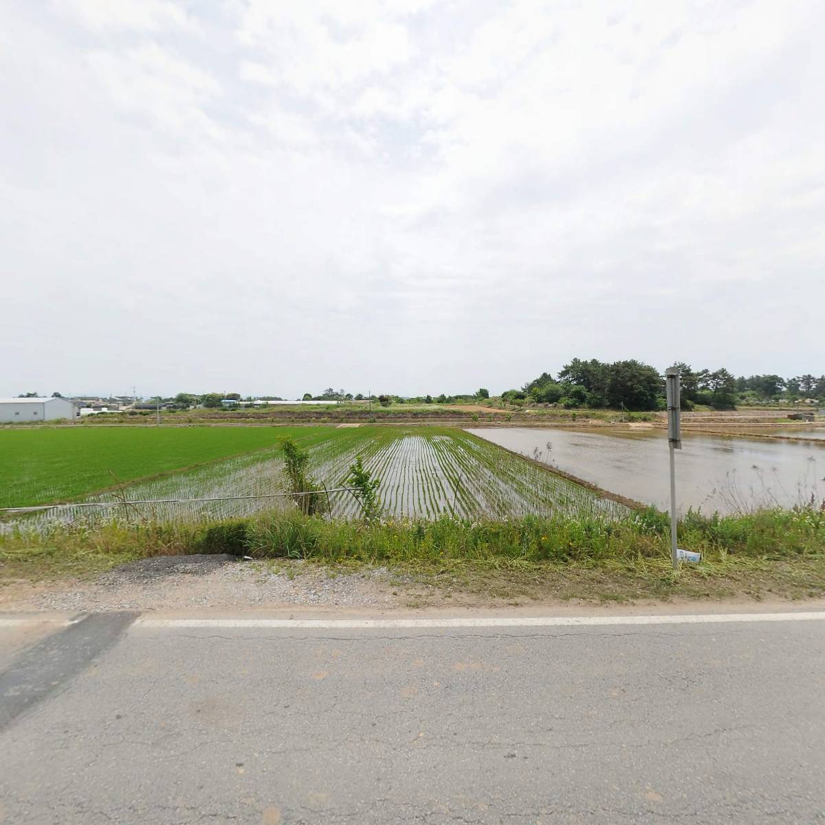 유한회사차마루_3