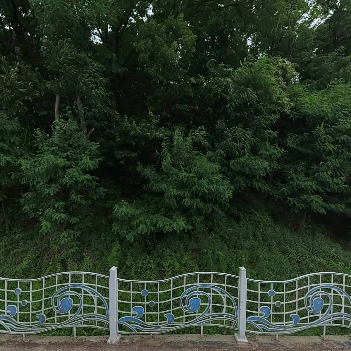 산골보리밥