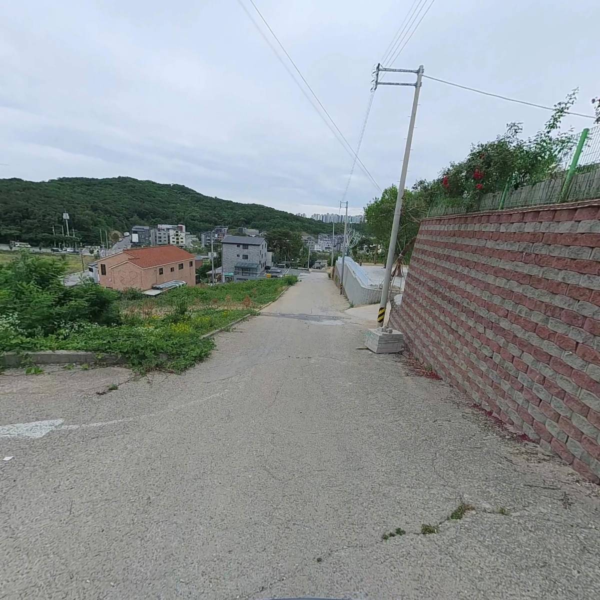 형수님 보리밥_2