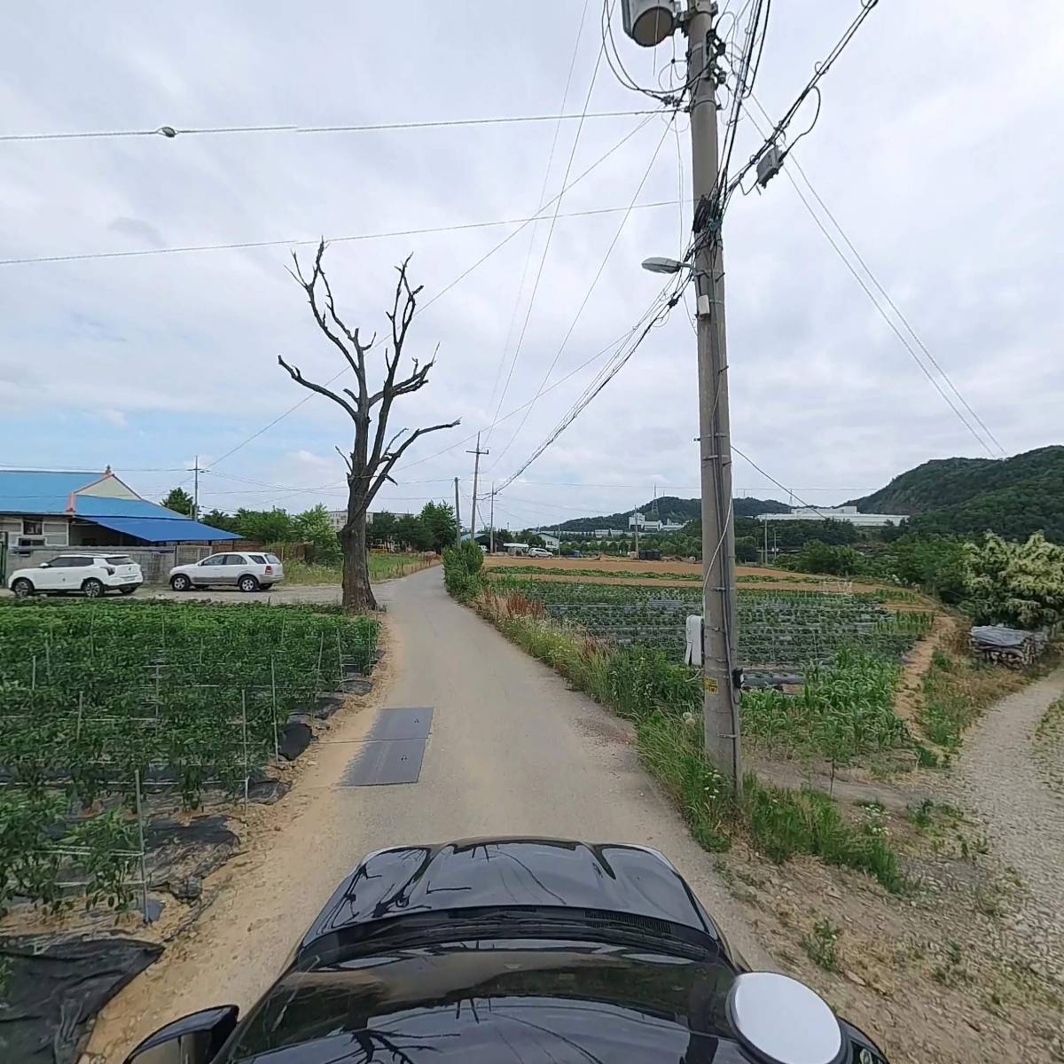 대림산업_4