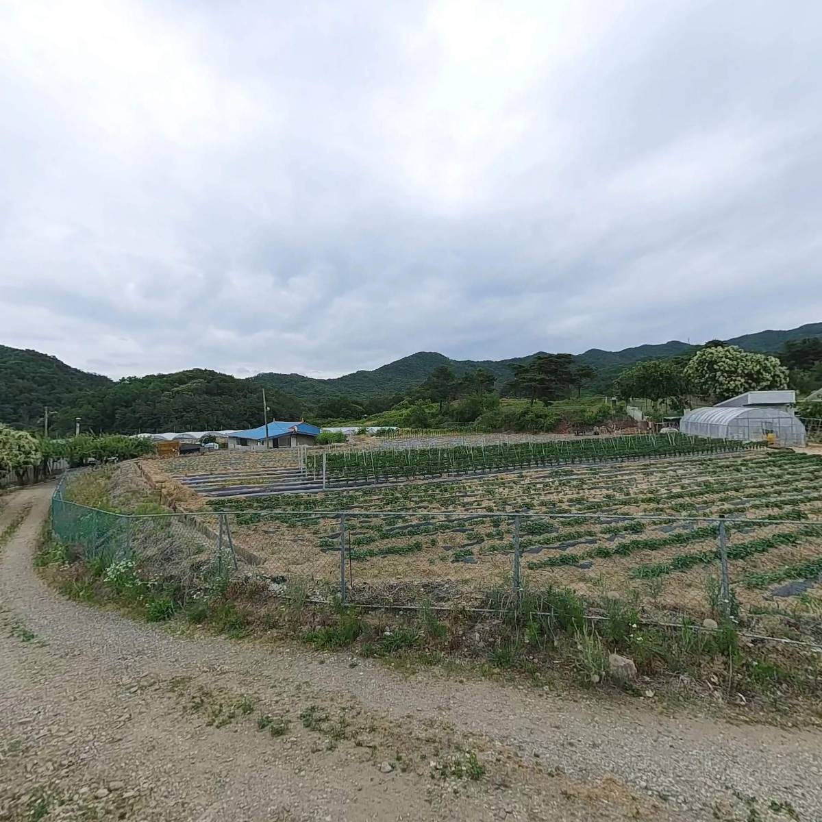 대림산업