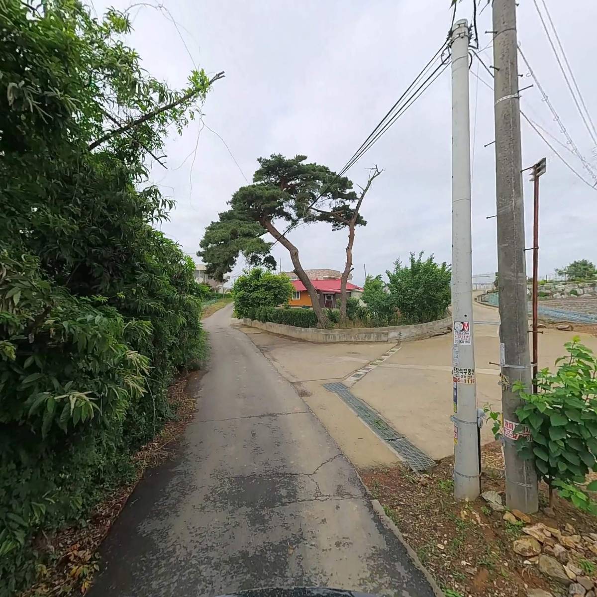 에스케미칼 주식회사(S-Chemical Co.,Ltd.)_2