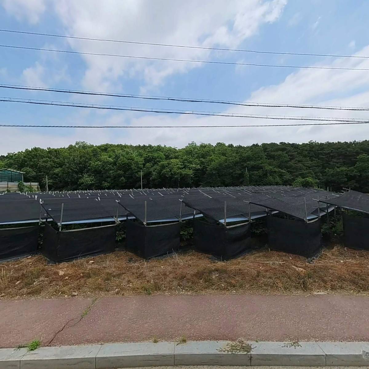 진영미장합판