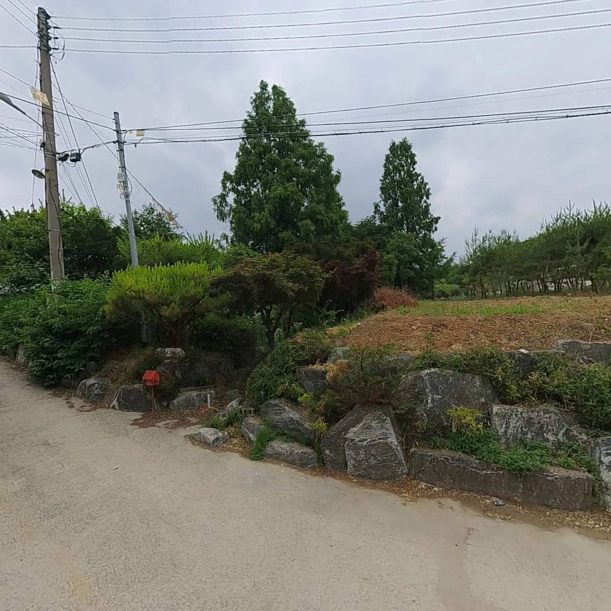 알비더블유(RBW)