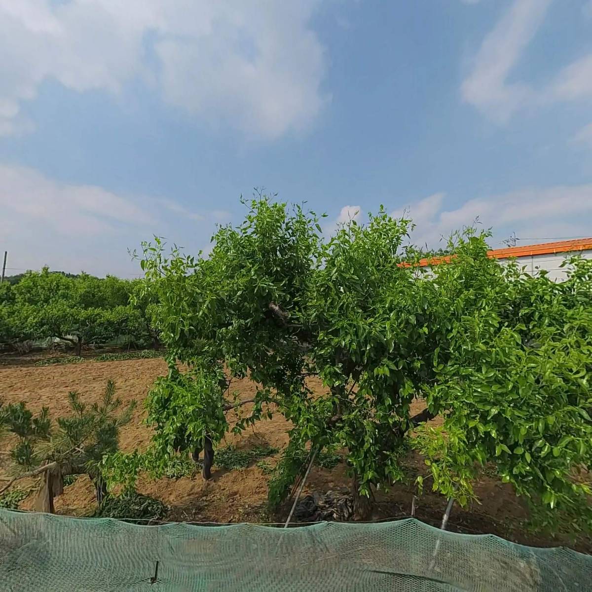 중앙브레인정밀