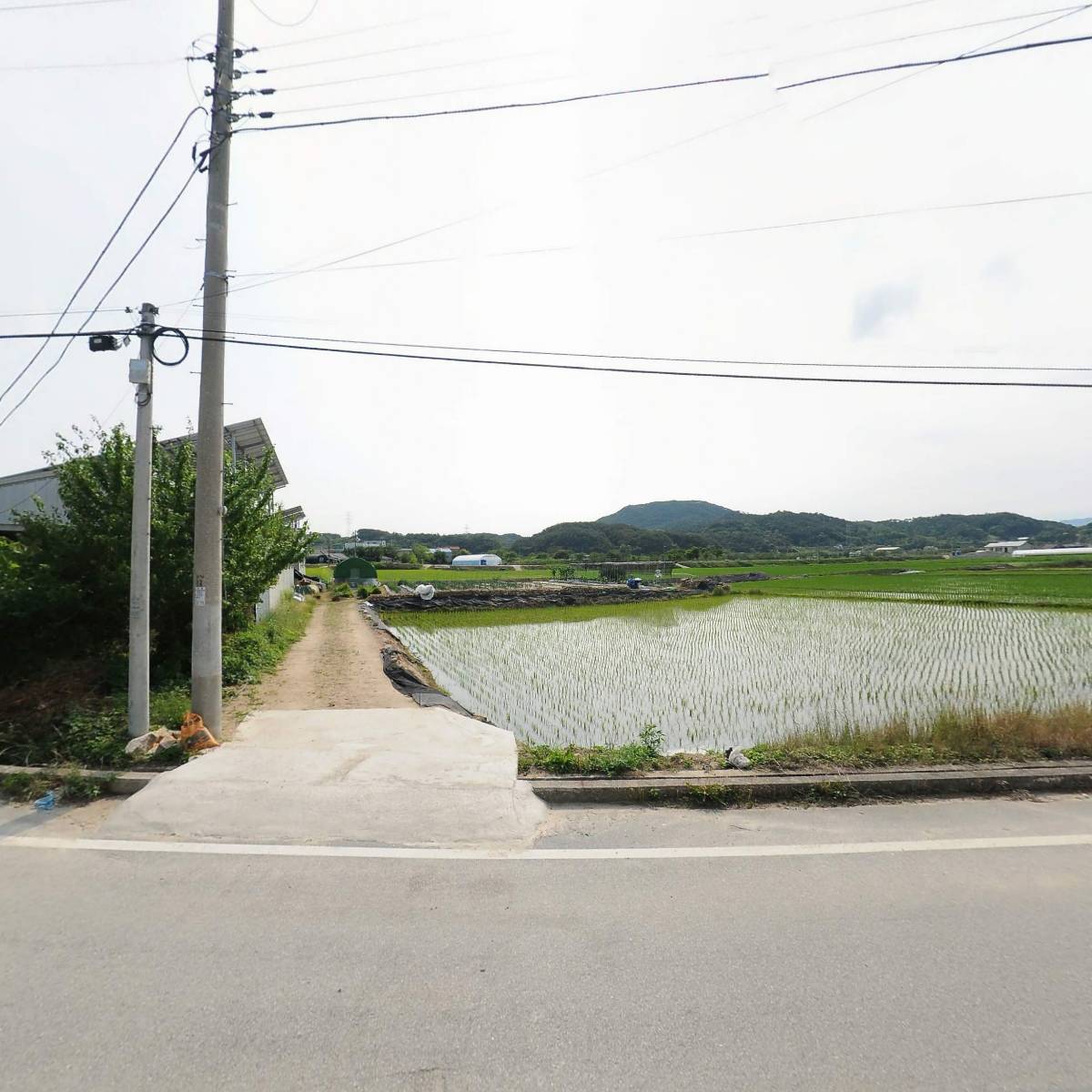 농업회사법인(주)김총각네_3