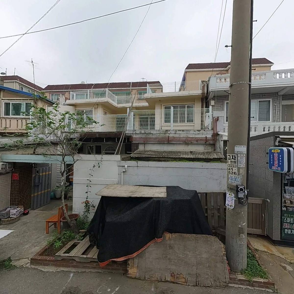 짱청파