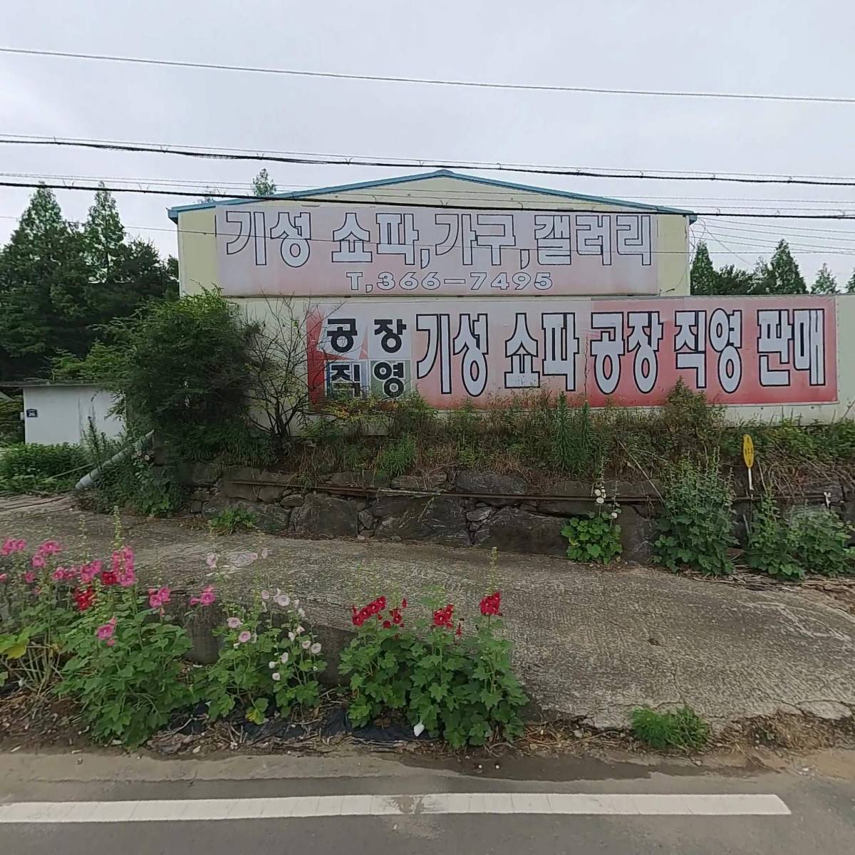주식회사 위드미디어