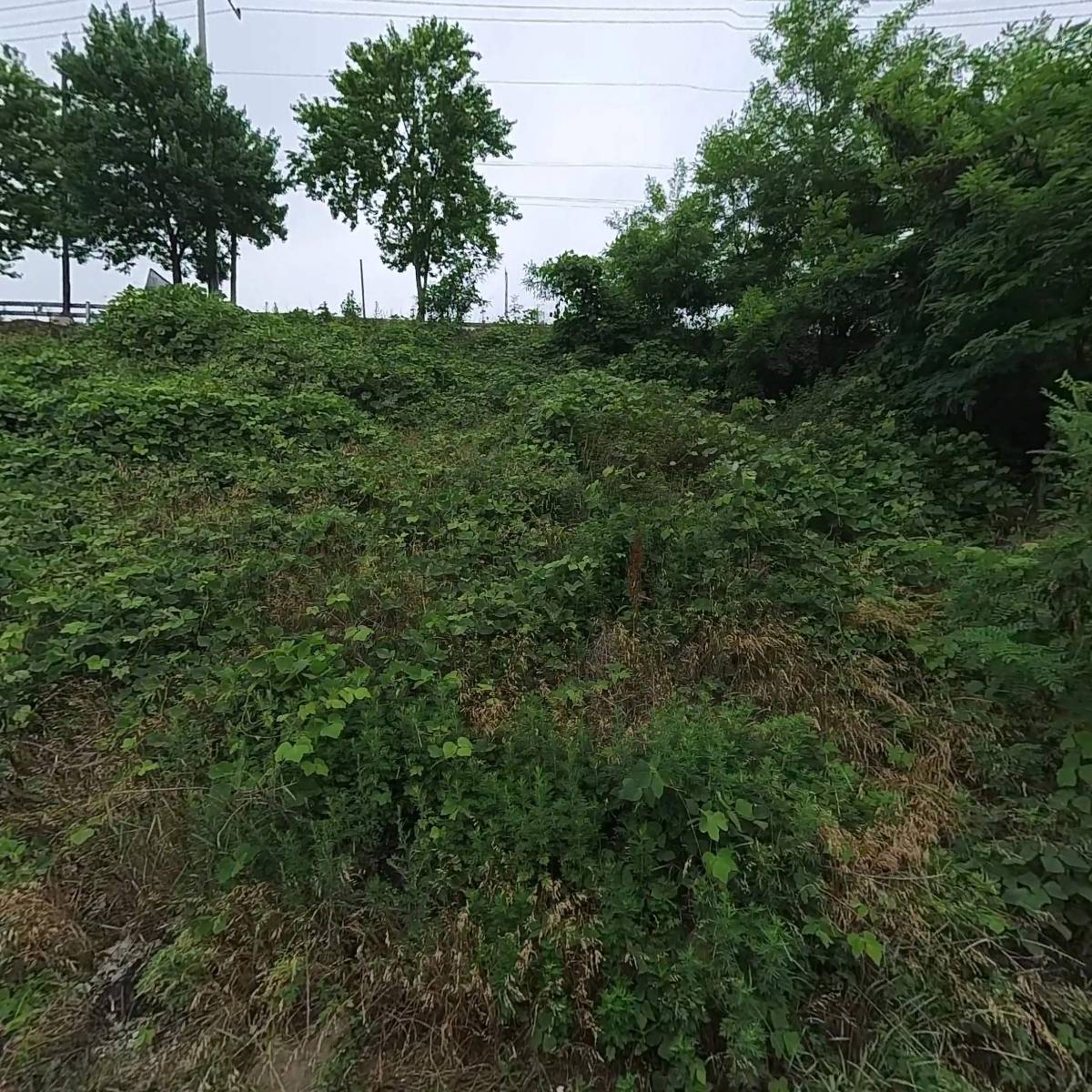 명성상사_3
