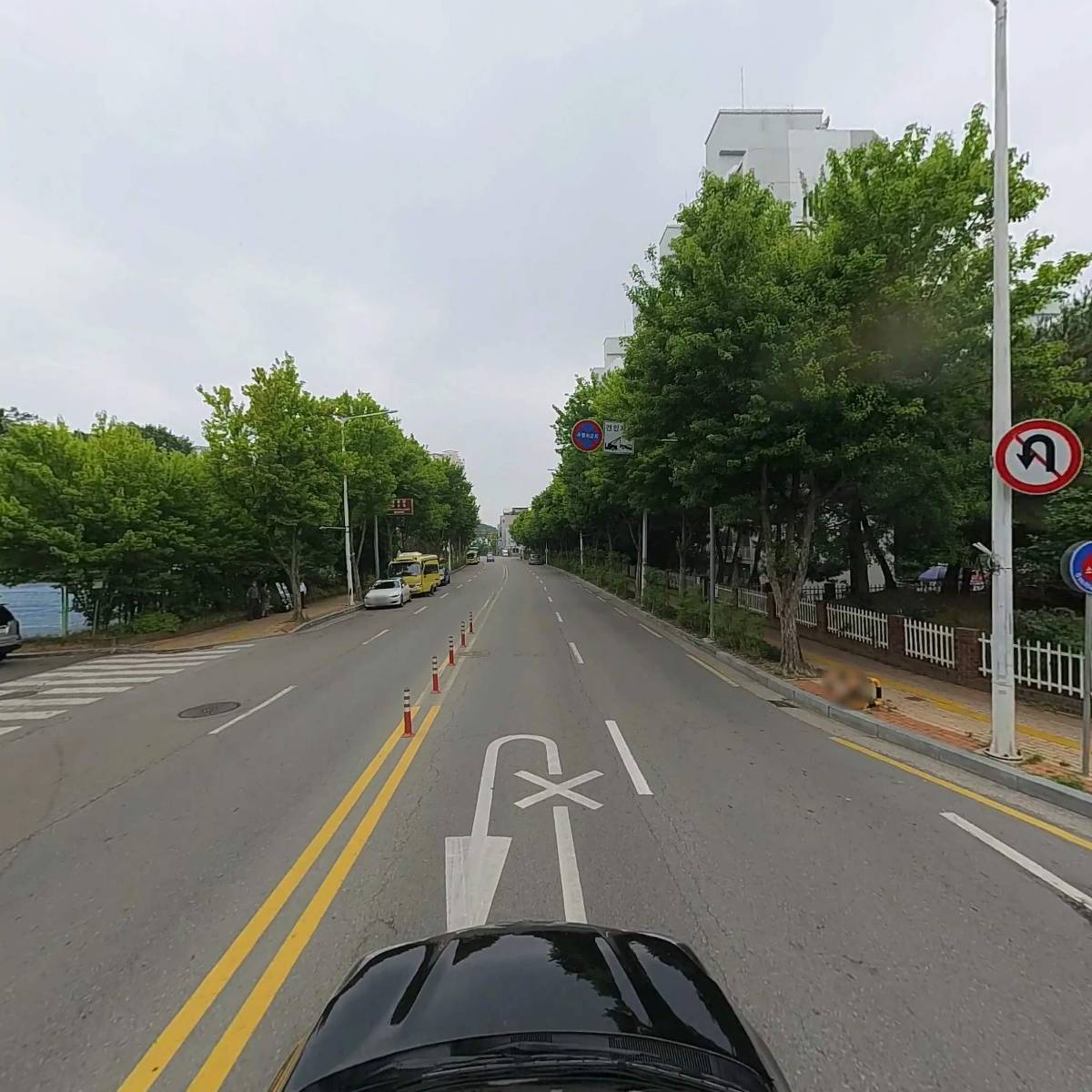 황제코다리_4
