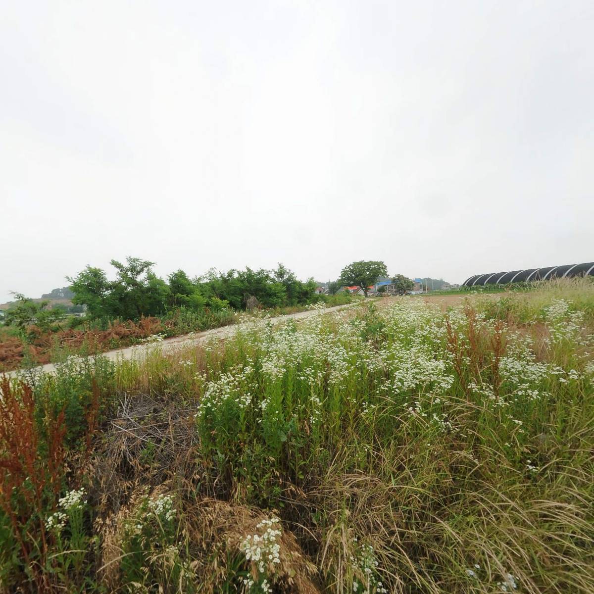영농조합법인 예은축산 안성공장_3
