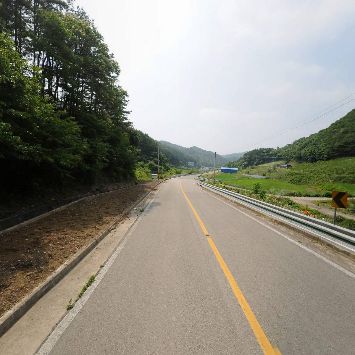 마이골발효식품_2