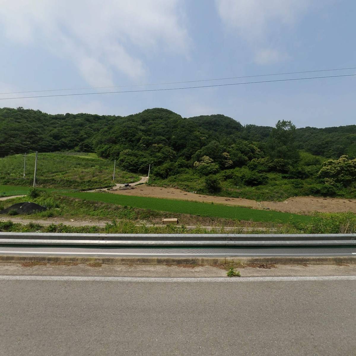 마이골발효식품_3
