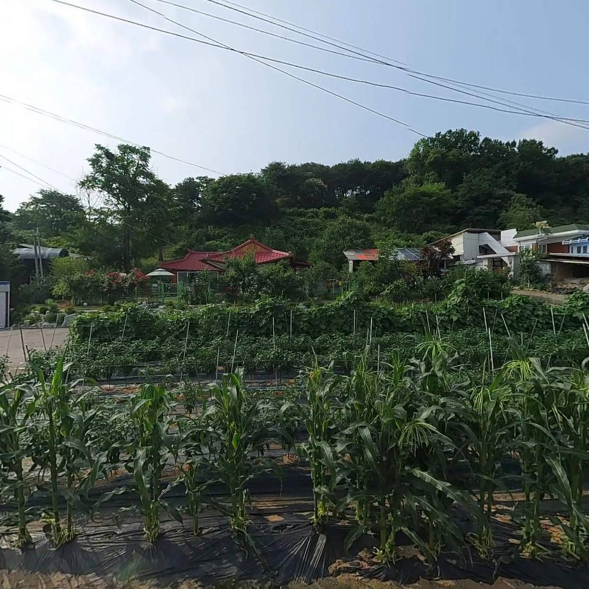 솔론 주식회사
