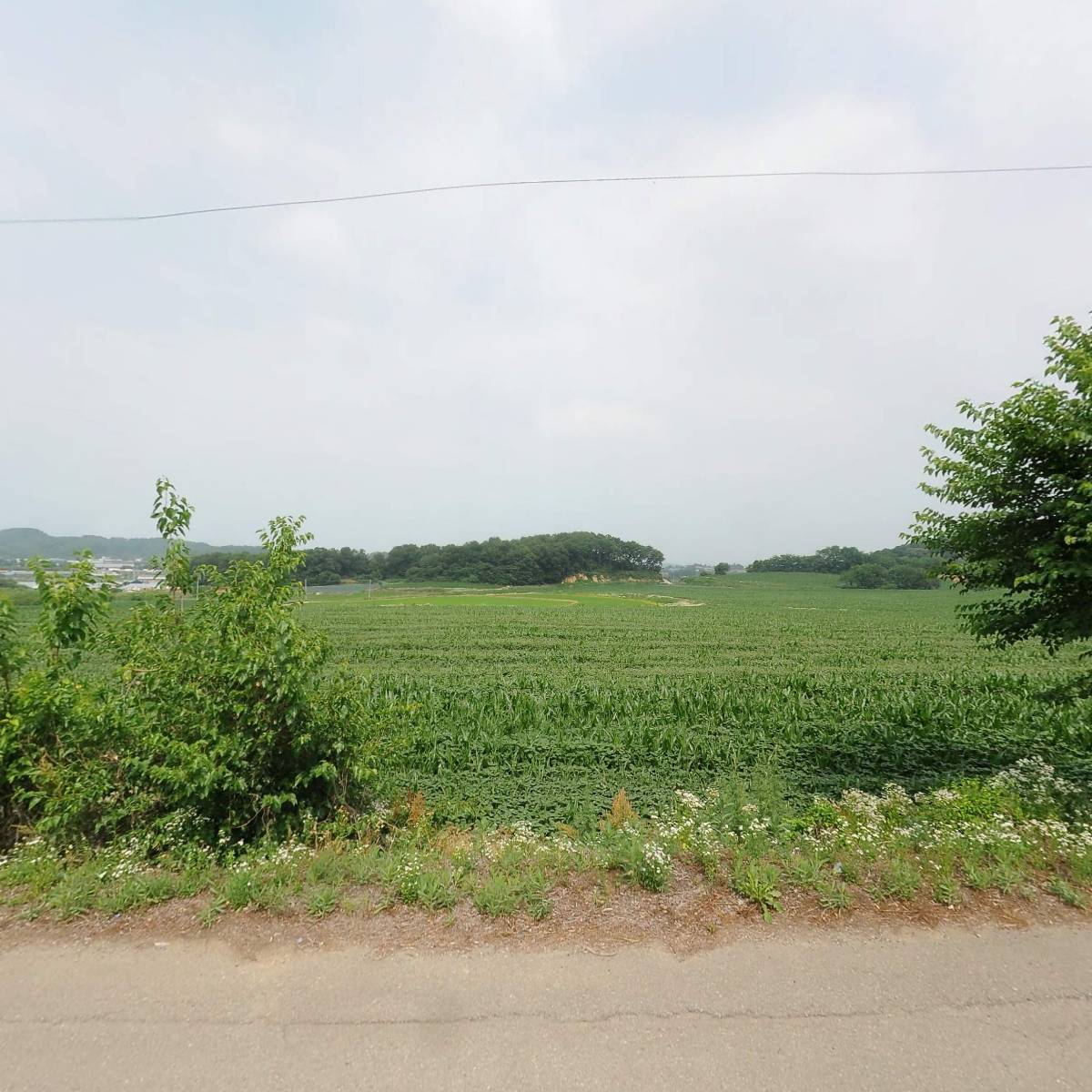 (주)강성원우유_3