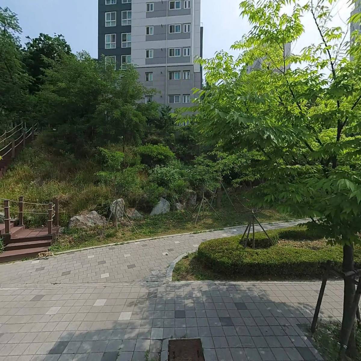 씨엔푸드