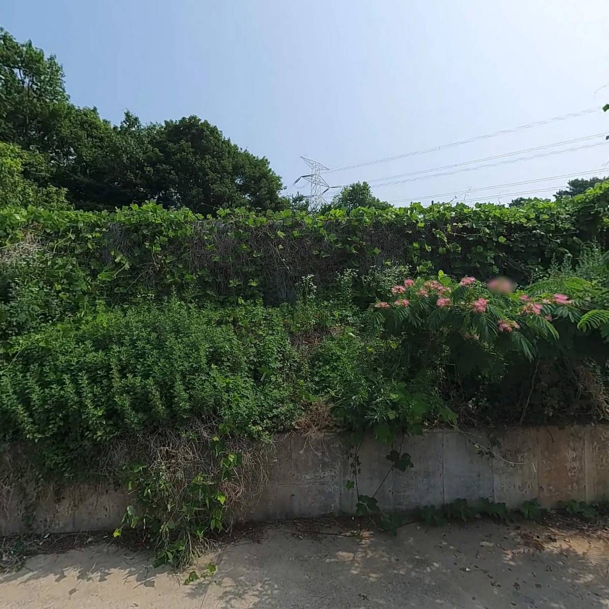 경동정밀