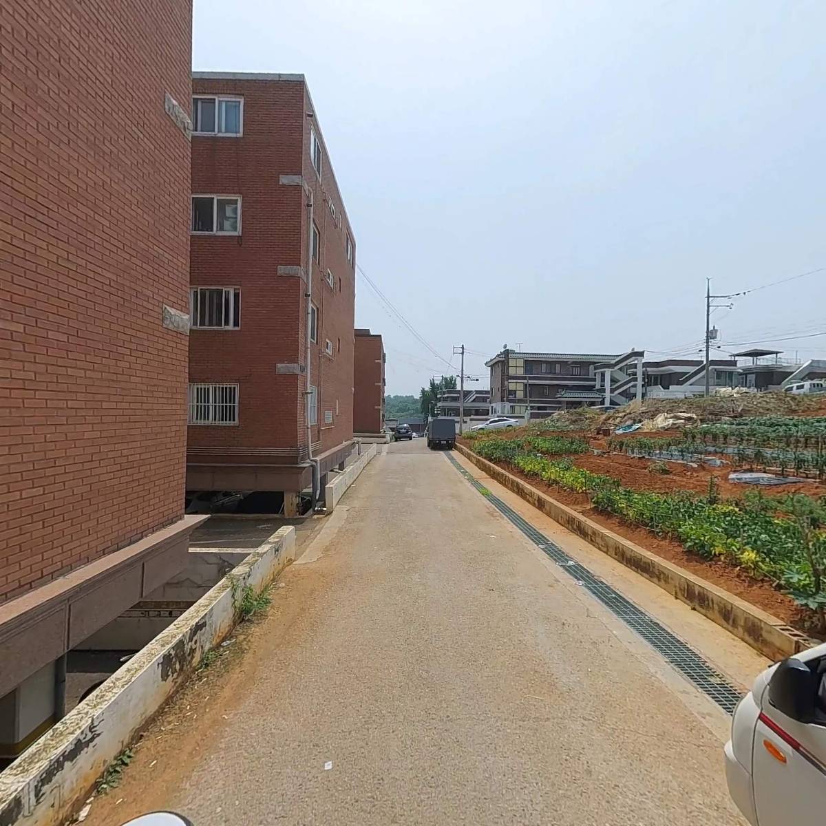 두윗츄(Doowithu)_2