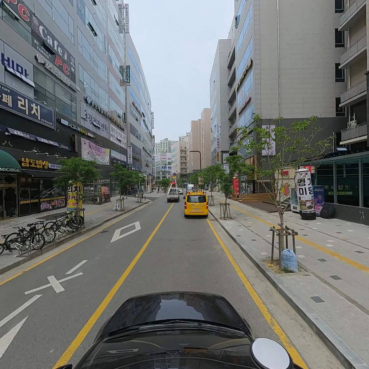 그린동물병원_4
