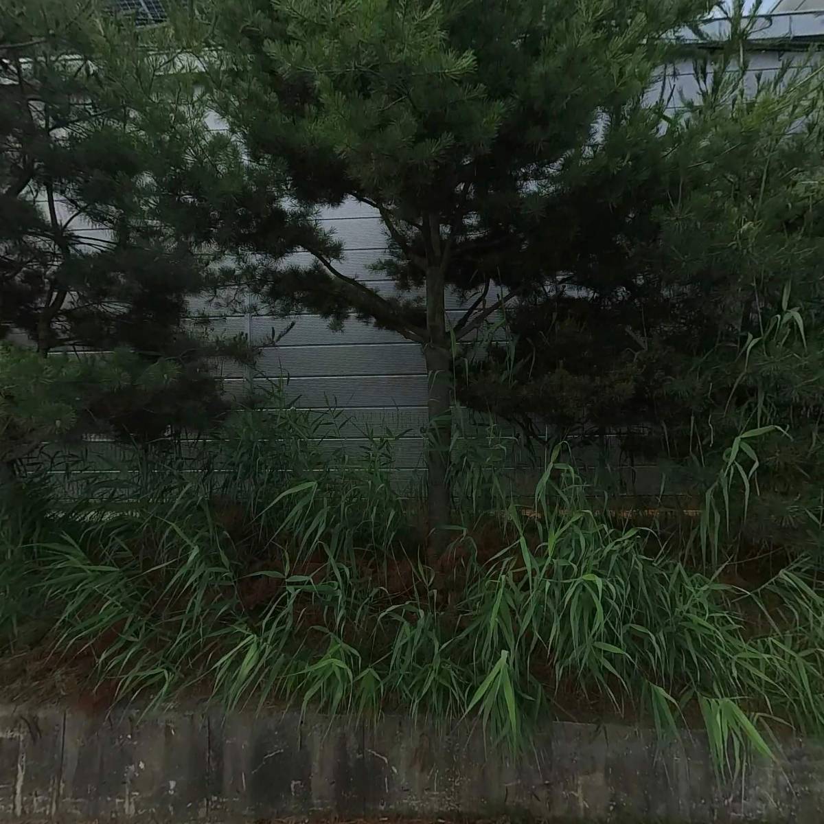 (주)아이엔에스