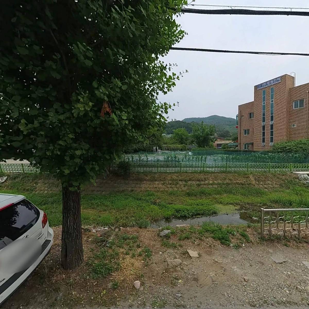 천일명가