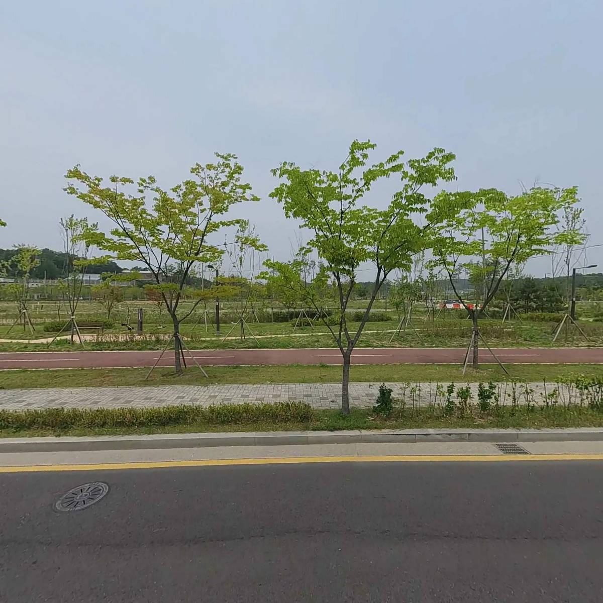 코디바이오(주)