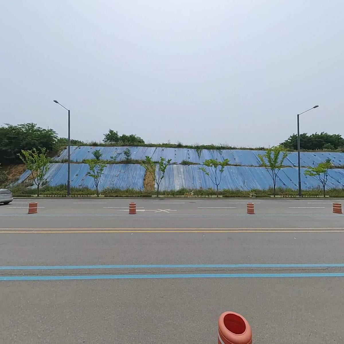 코디바이오(주)_3