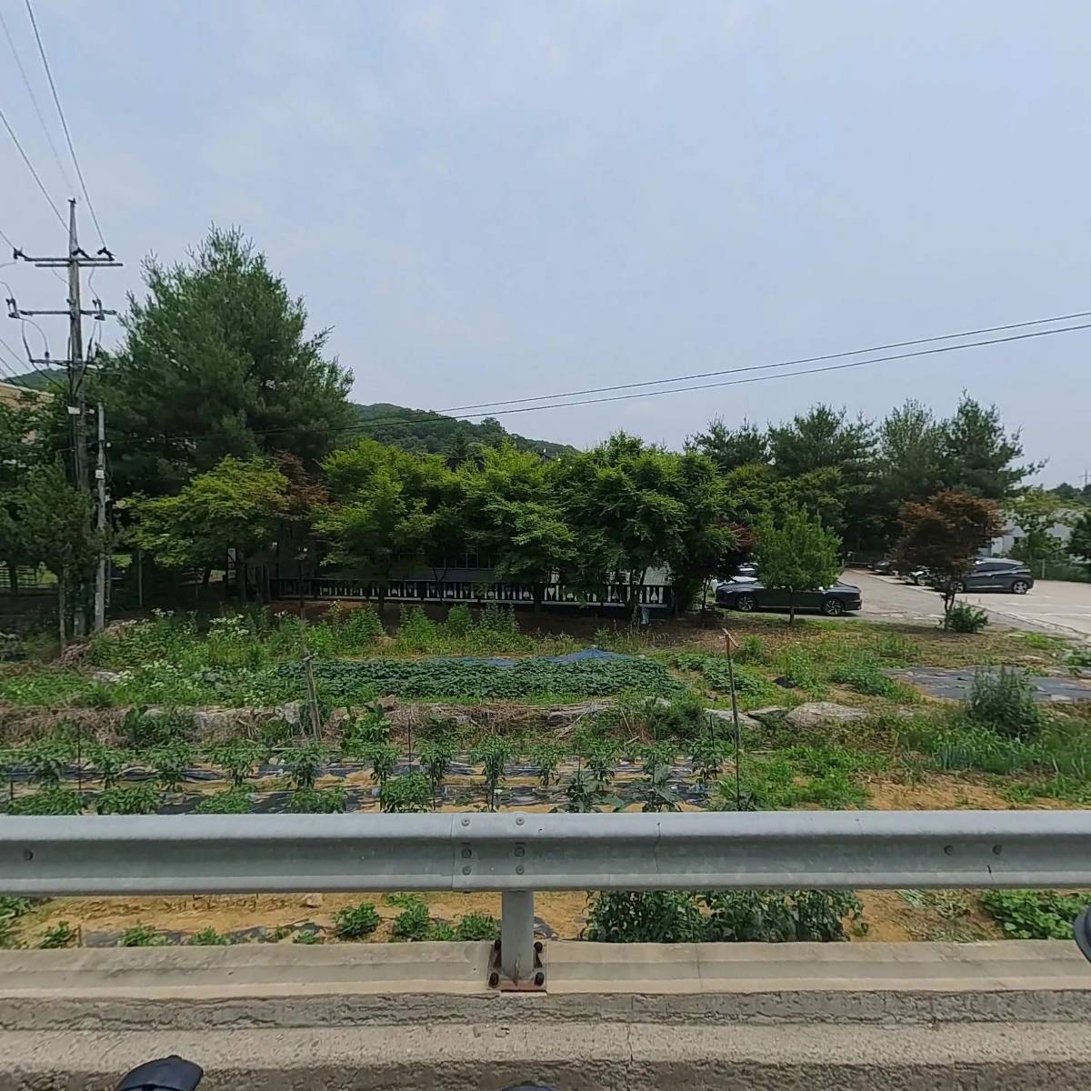 애나의정원투 주식회사
