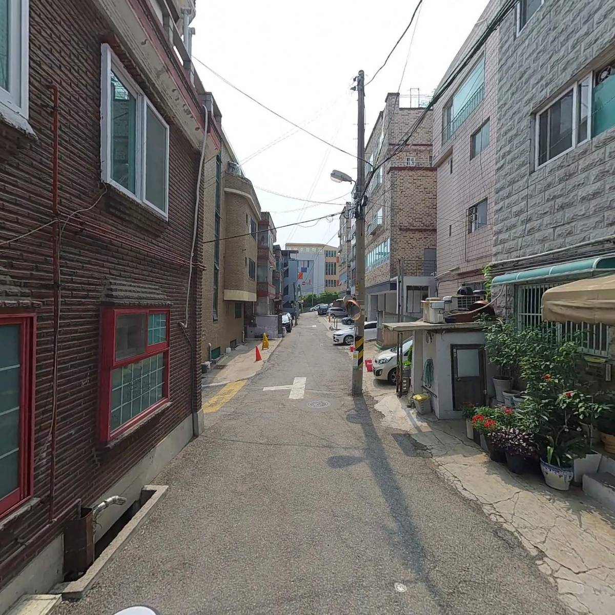 뉴픽_2