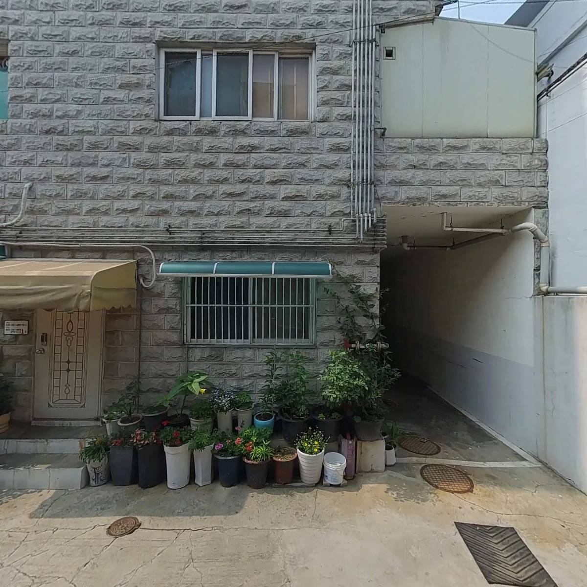 뉴픽_3