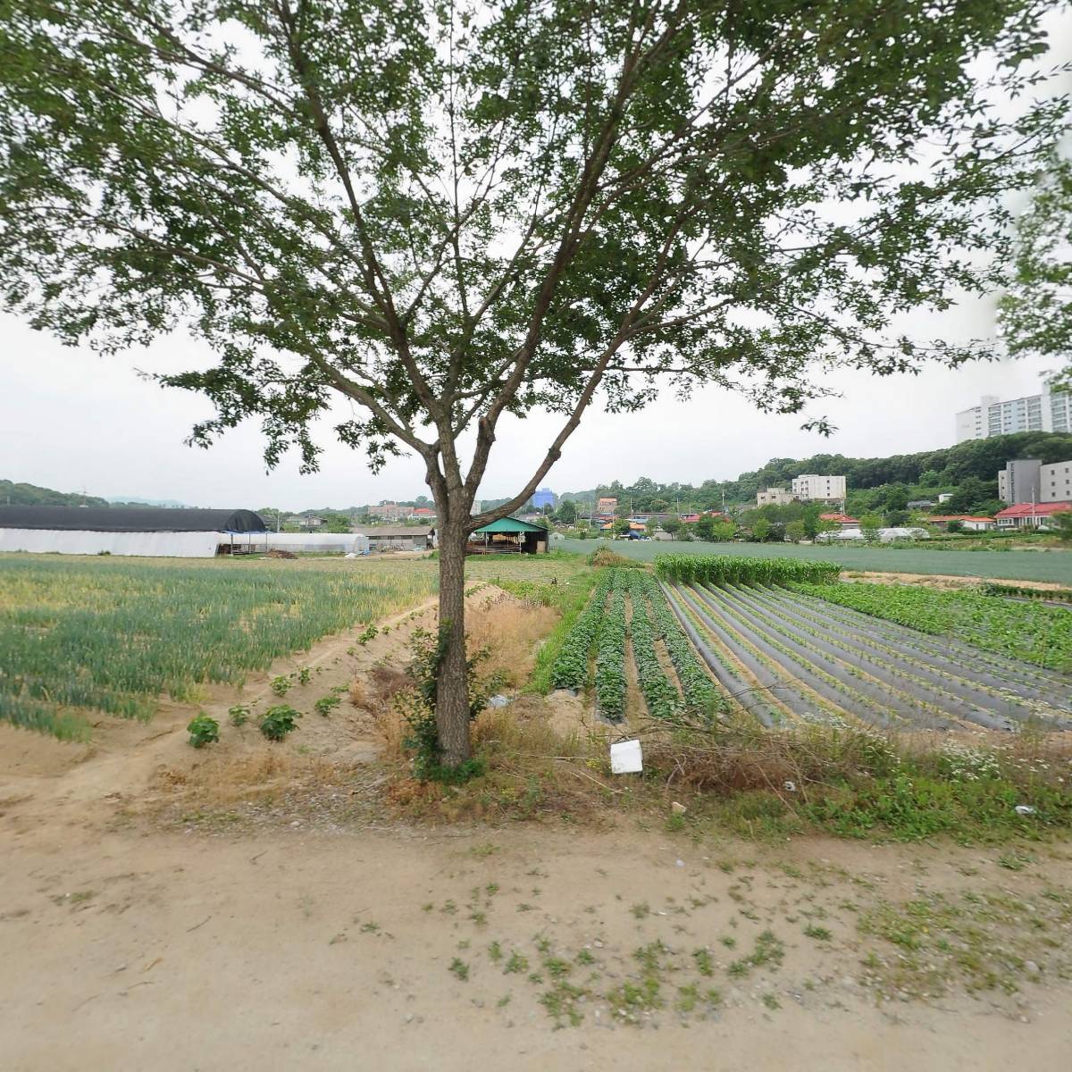 주식회사안성국제물류