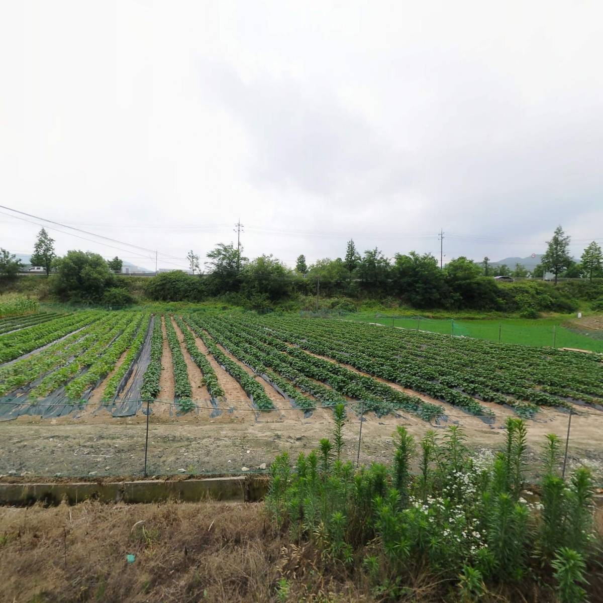 한국자동차정보센타협동조합(죽산폐차)