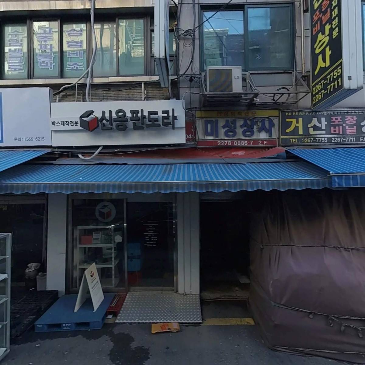 골든벽지