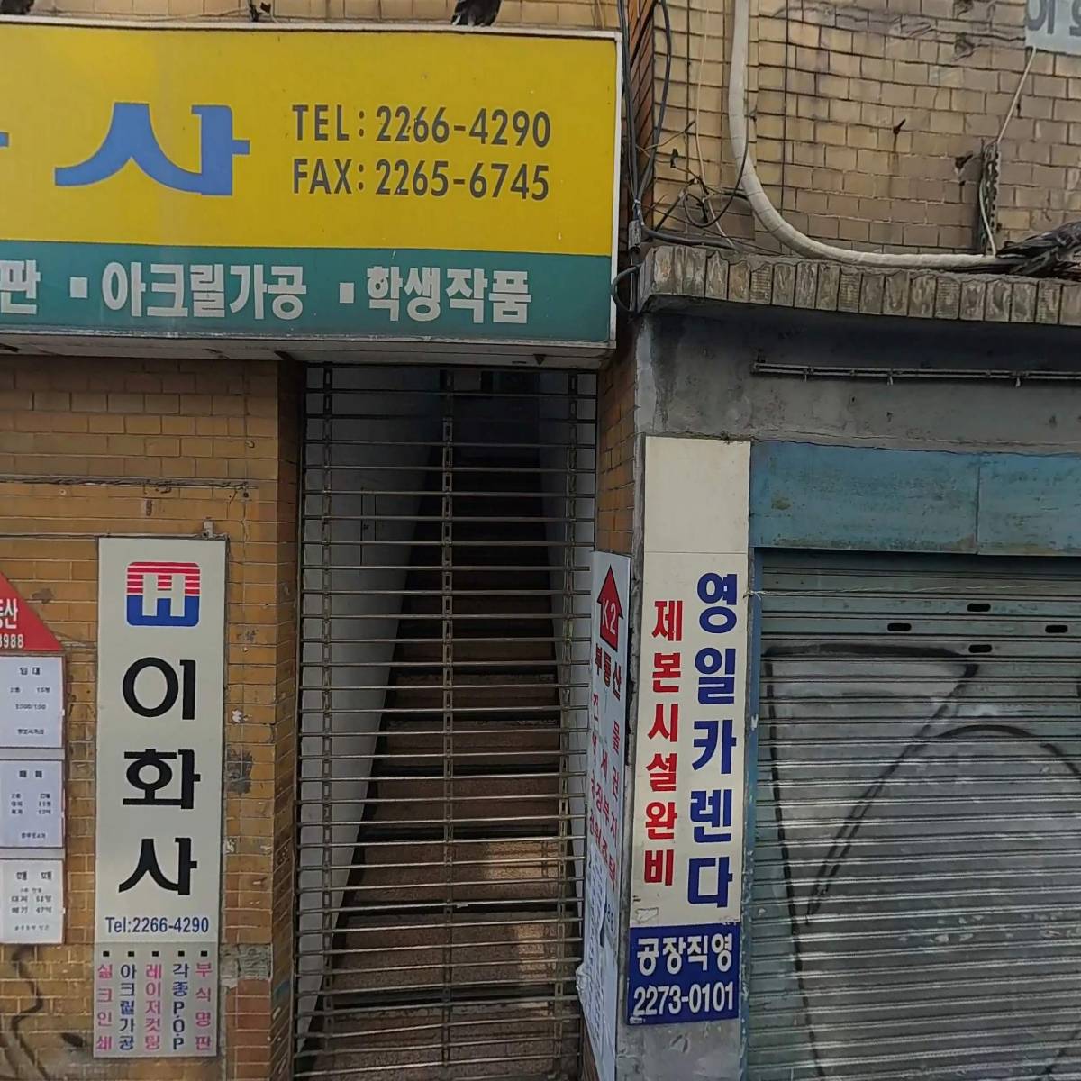 전진원색_3