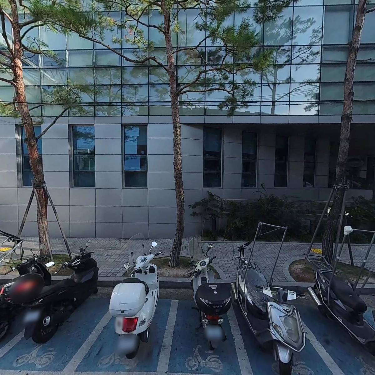 란델(Randell)_3