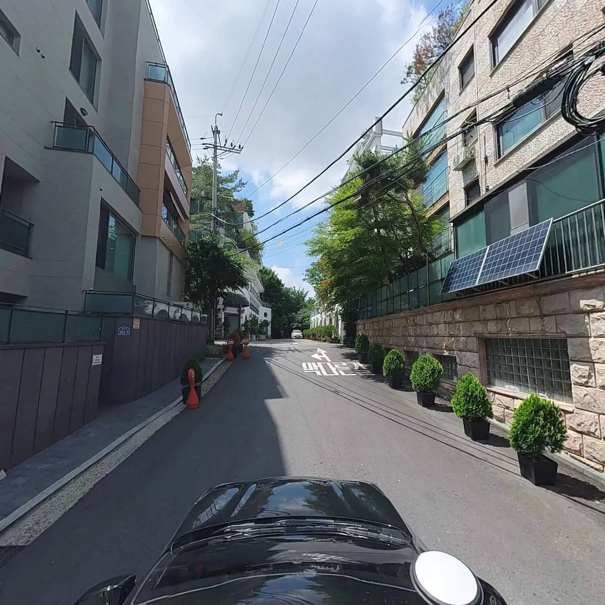 테아로하(TeAroha)_4