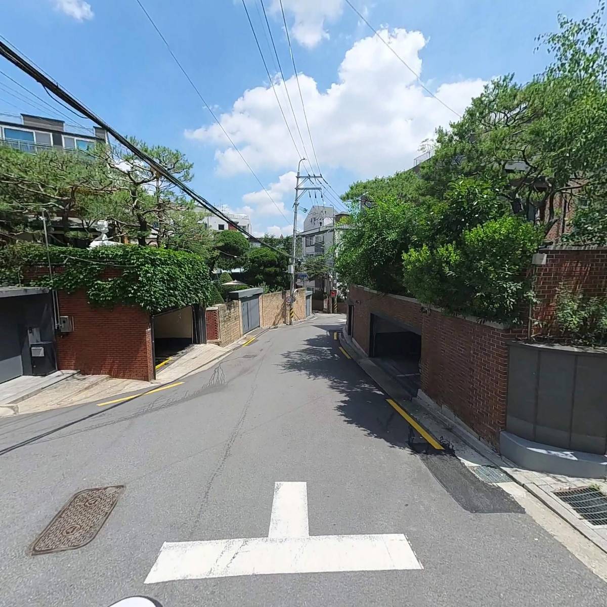 테아로하(TeAroha)_2