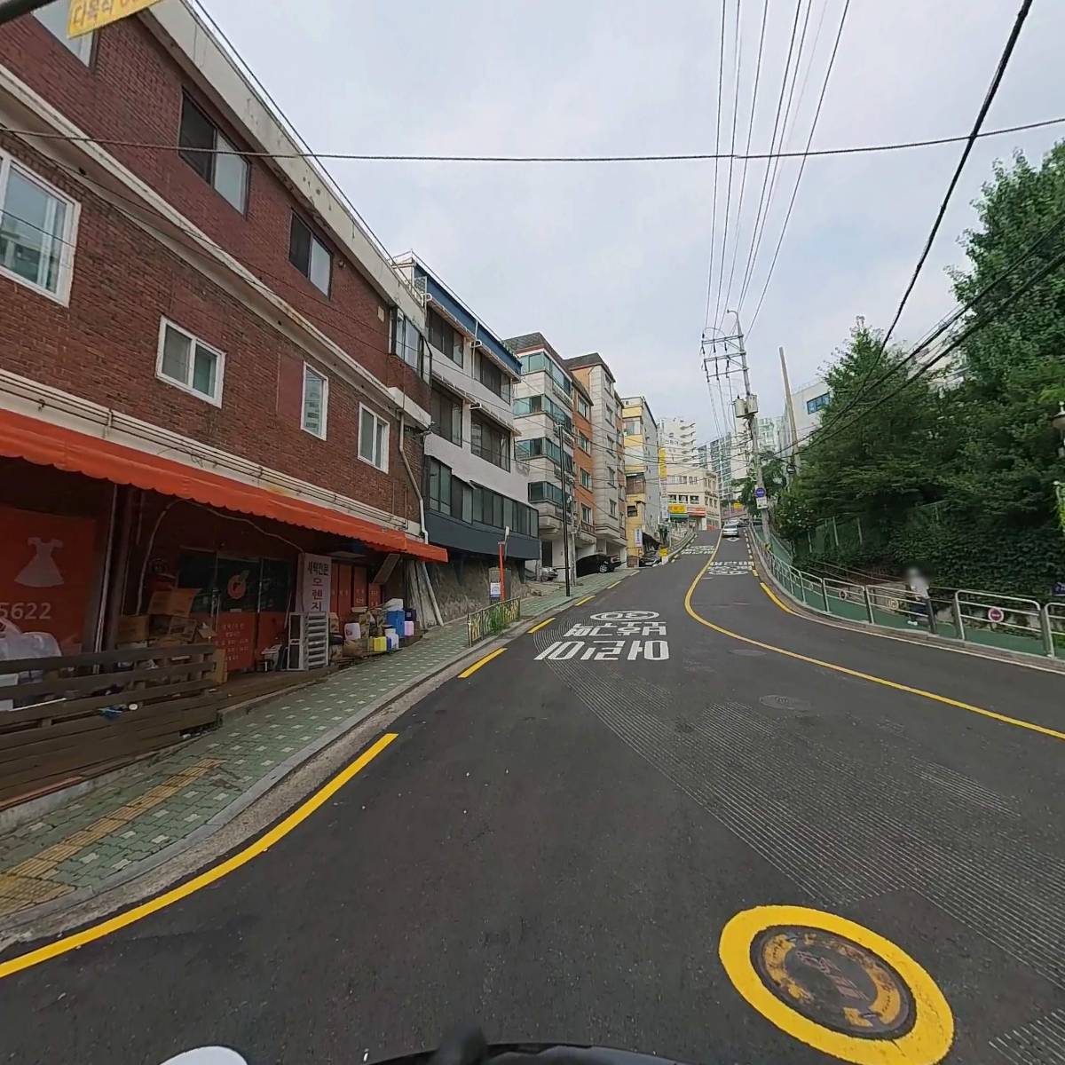 코나스_2