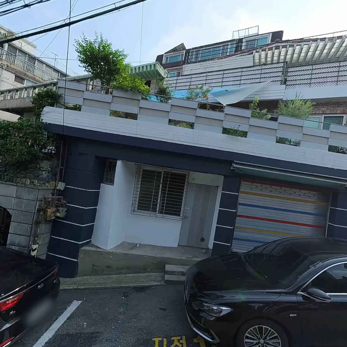 볼란테