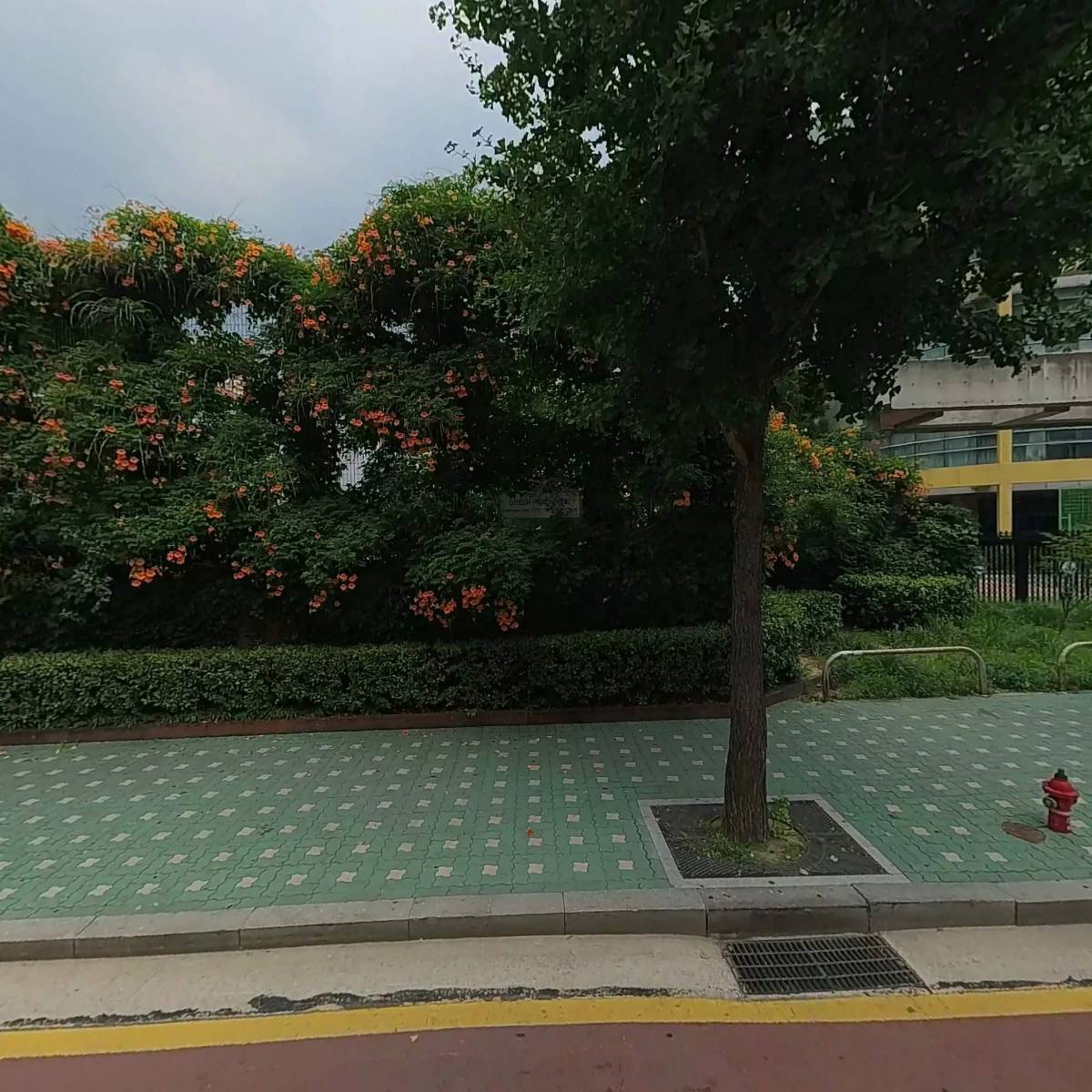 블렉시블
