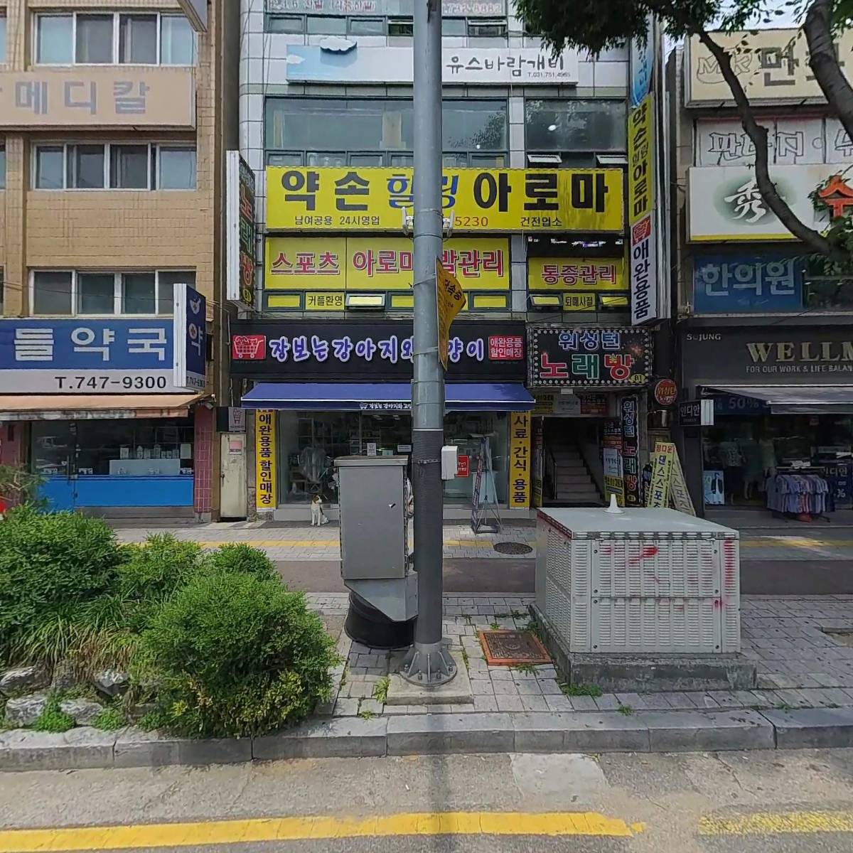 여성크로커다일　성남신흥점