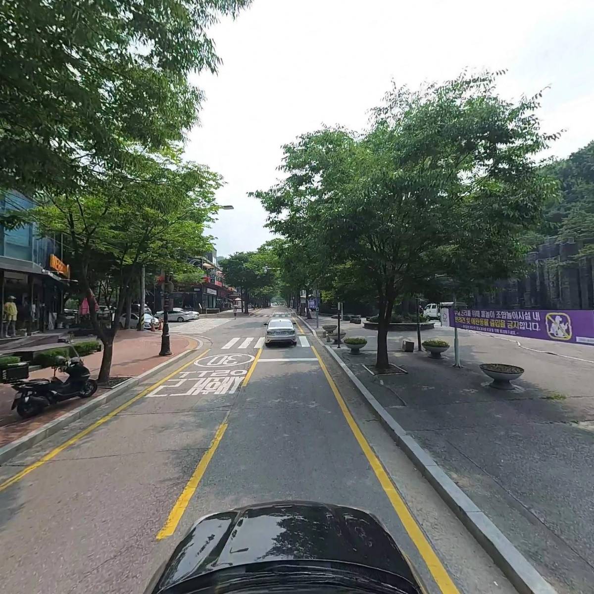 똥깡아지_4