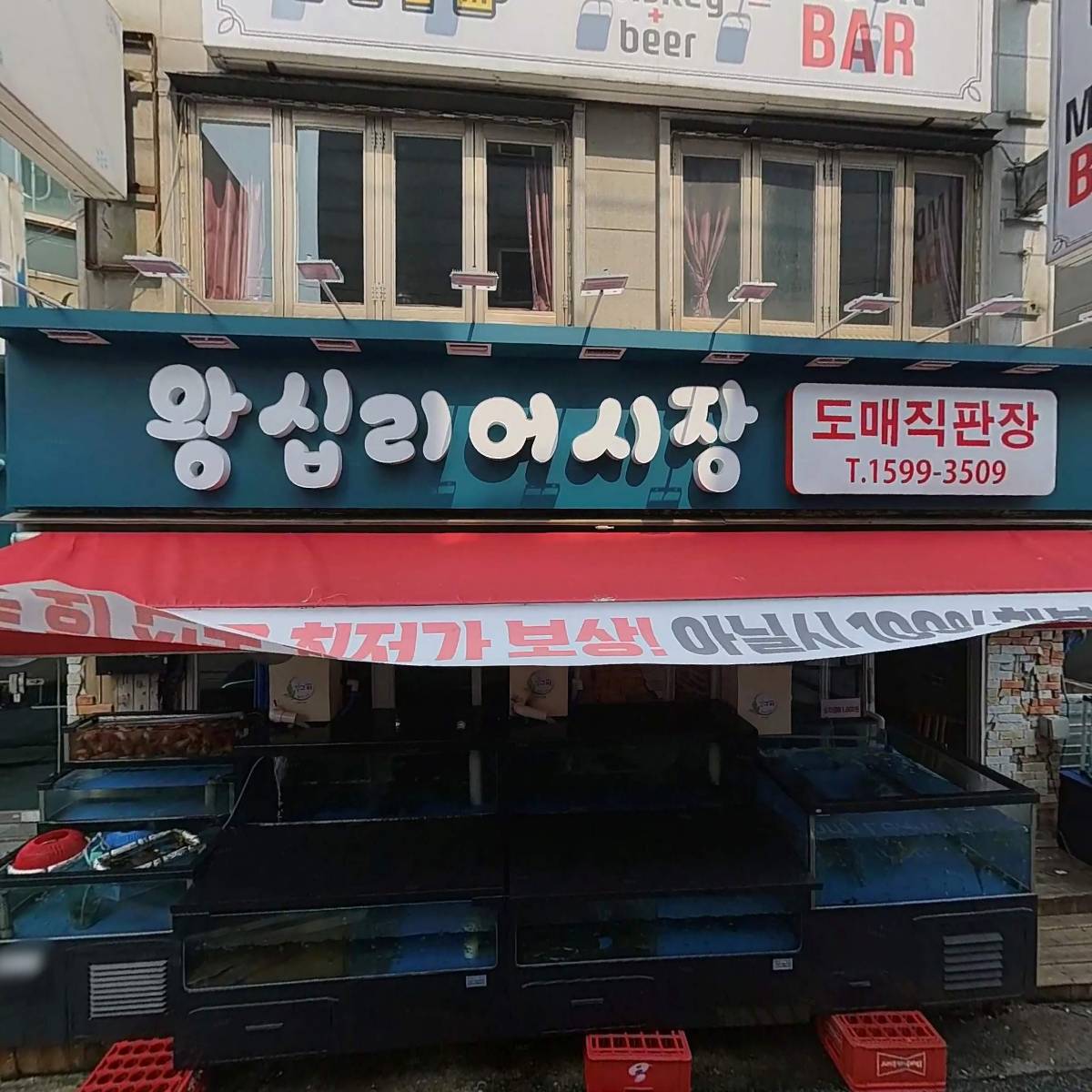 도쿄차돌