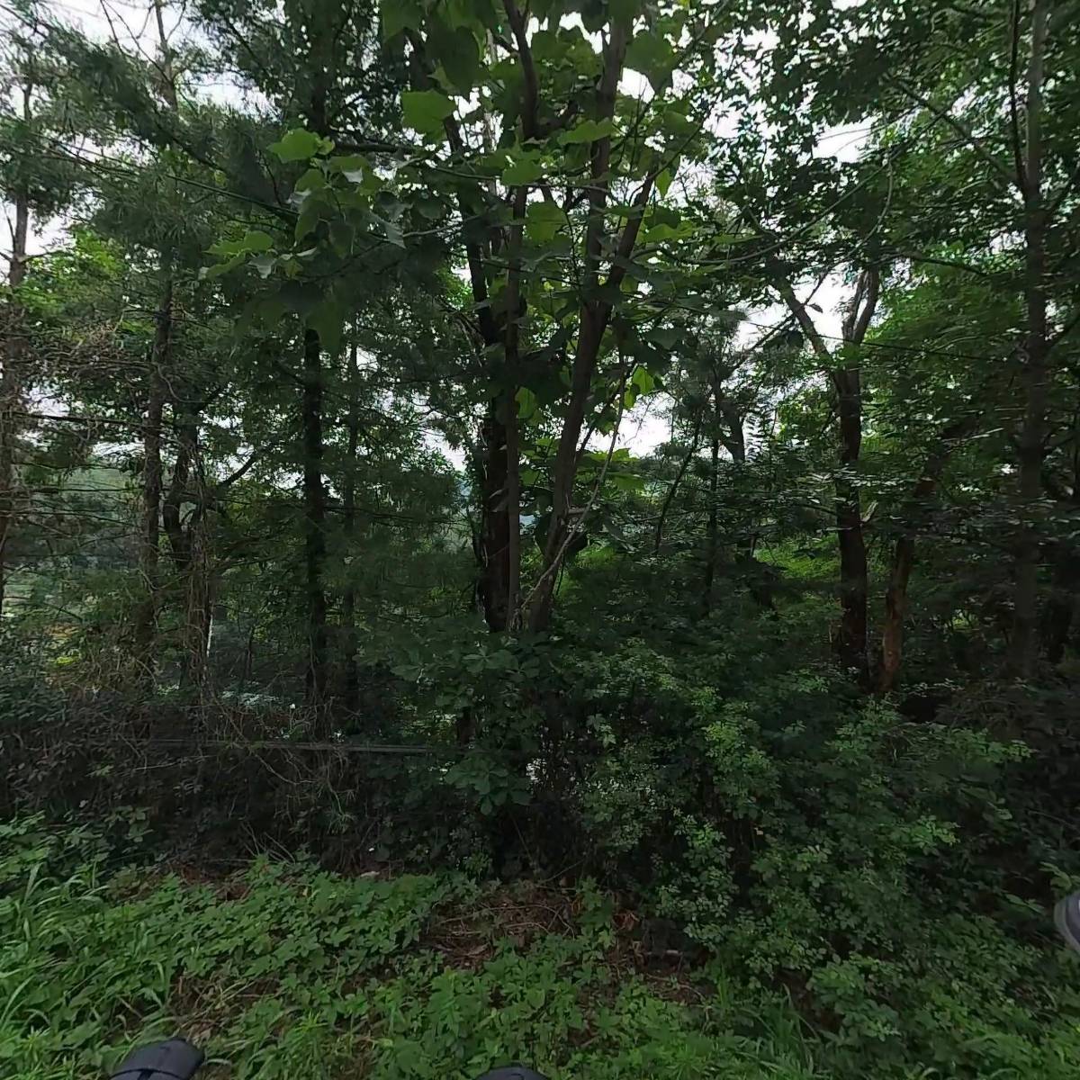 대한불교 조계종 관음선원