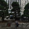 (주)중앙케미칼후로아_3