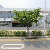 청담갈비면옥(송도점)