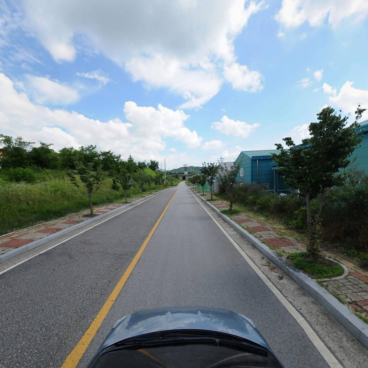 진안홍삼가공액션그룹_4