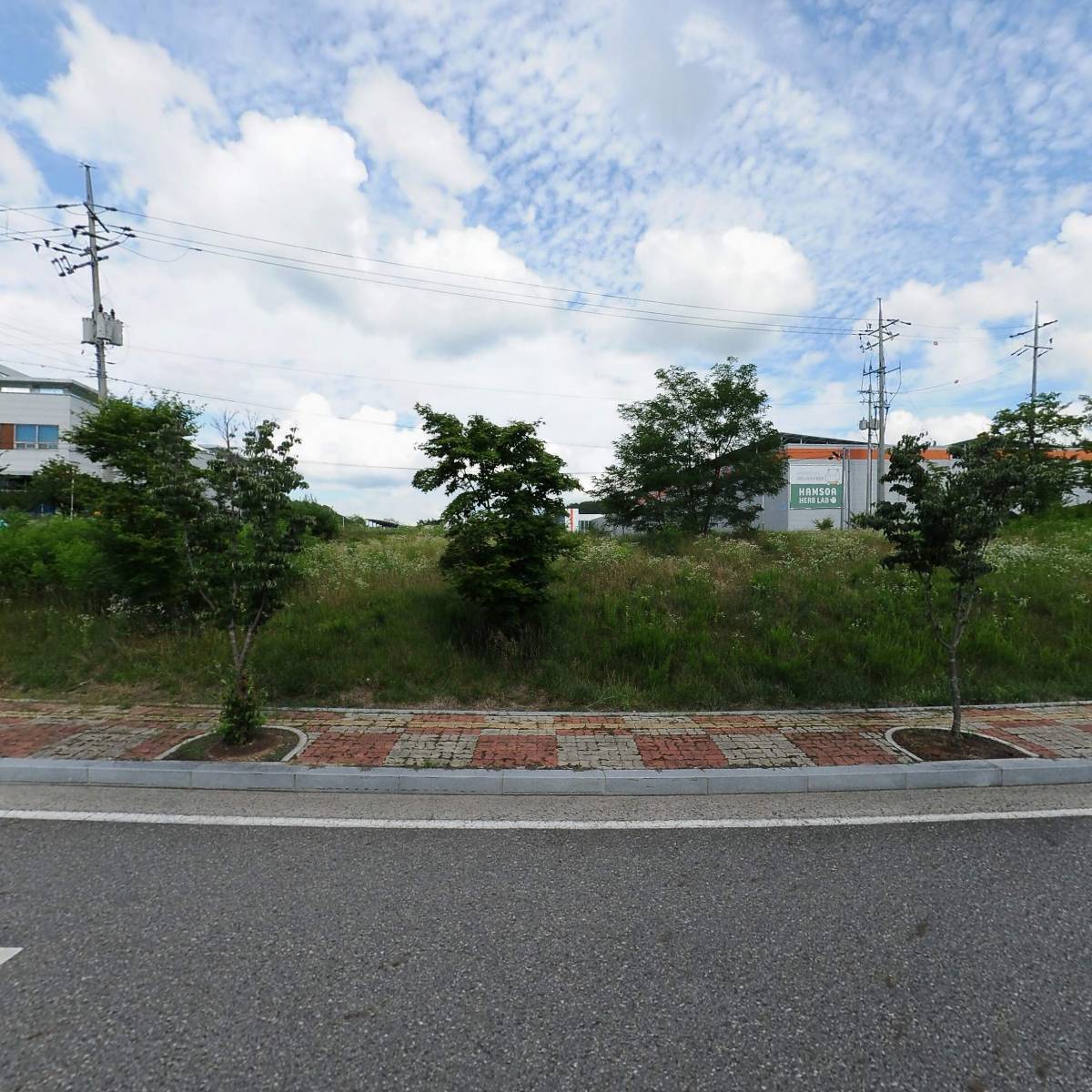 진안홍삼가공액션그룹_3